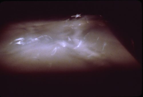 Undulation -- Room sized installation, film, polyethylene plastic, fans, white floor, film projector on ceiling