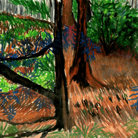 Brooklyn Botanic Garden, Oil pastel on paper 22” x 14” (unframed)
