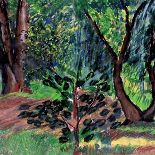 Brooklyn Botanic Garden #3, Oil pastel on paper 22” x 14” (unframed)